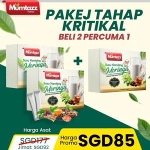 Pakej tahap kritikal